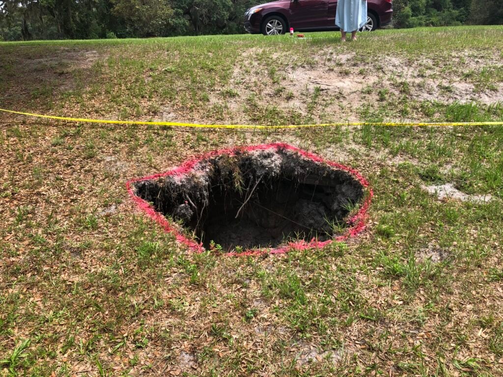 Yard sinkhole depression in a residential lawn showing collapsed soil and exposed roots